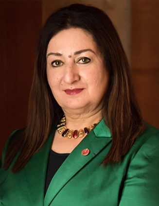 Senator Ataullahjan Official Portrait
